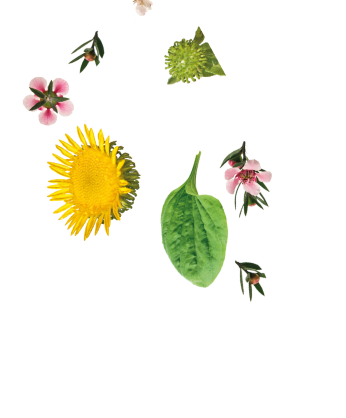 Fleurs