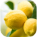 Citronnier